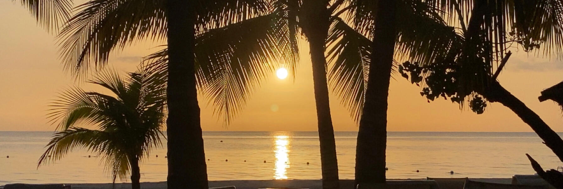 Stillwaters Reiki Holistic Madison, Wisconsin Header